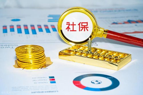 社保錢袋子誰掏空？強制繳費究竟保護誰？企業最終僅認這一招